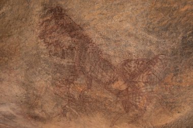 Bhimbetka Kaya Barınakları, Raisen, Madhya Pradesh, Hindistan. 2003 yılında UNESCO Dünya Mirası ilan edilen sığınaklarda Yukarı Paleolitik dönemden Ortaçağ 'a kadar uzanan antik kaya sanatı yer alıyor..