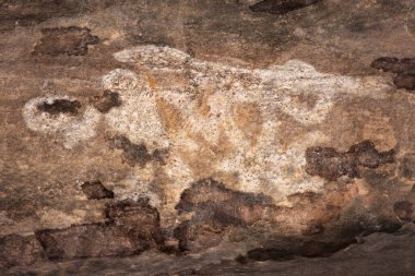 Bhimbetka Kaya Barınakları, Raisen, Madhya Pradesh, Hindistan. 2003 yılında UNESCO Dünya Mirası ilan edilen sığınaklarda Yukarı Paleolitik dönemden Ortaçağ 'a kadar uzanan antik kaya sanatı yer alıyor..