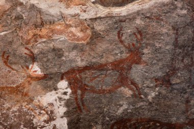 Bhimbetka Kaya Barınakları, Raisen, Madhya Pradesh, Hindistan. 2003 yılında UNESCO Dünya Mirası ilan edilen sığınaklarda Yukarı Paleolitik dönemden Ortaçağ 'a kadar uzanan antik kaya sanatı yer alıyor..