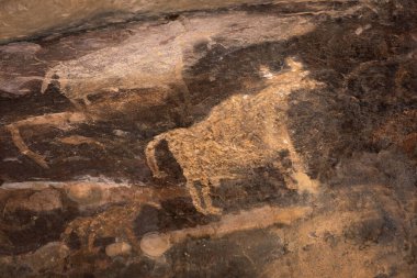 Bhimbetka Kaya Barınakları, Raisen, Madhya Pradesh, Hindistan. 2003 yılında UNESCO Dünya Mirası ilan edilen sığınaklarda Yukarı Paleolitik dönemden Ortaçağ 'a kadar uzanan antik kaya sanatı yer alıyor..