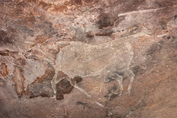 Bhimbetka Kaya Barınakları, Raisen, Madhya Pradesh, Hindistan. 2003 yılında UNESCO Dünya Mirası ilan edilen sığınaklarda Yukarı Paleolitik dönemden Ortaçağ 'a kadar uzanan antik kaya sanatı yer alıyor..