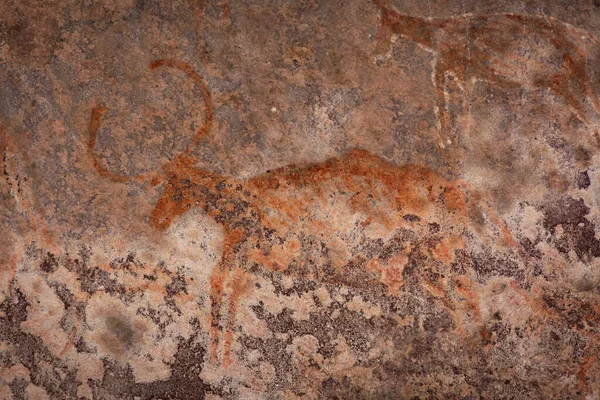 Bhimbetka Rock Shelters Raisen Madhya Pradesh India Dichiarati Patrimonio Dell — Foto Stock