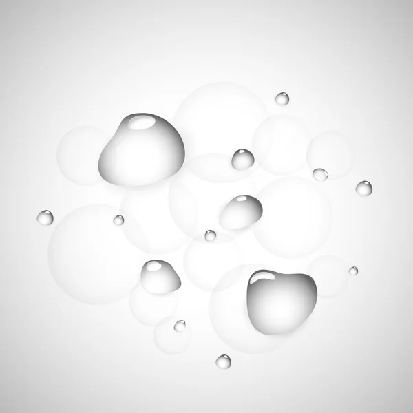 Water drops — Stock Vector