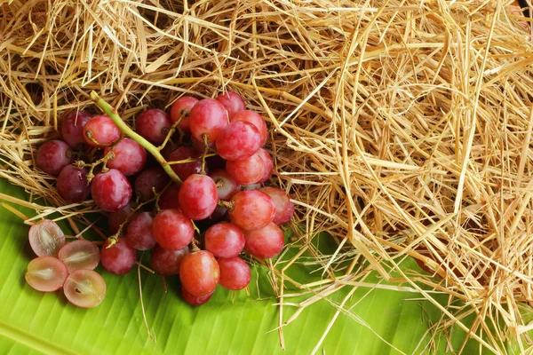 Frutta d'uva . — Foto Stock