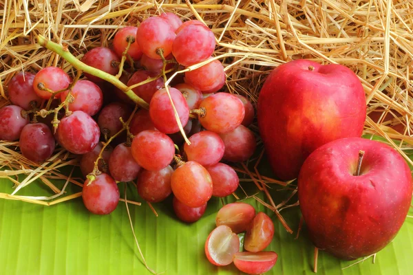 Frutti d'uva - mele da frutto . — Foto Stock