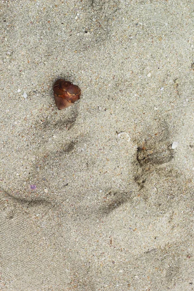 Zand achtergrond — Stockfoto