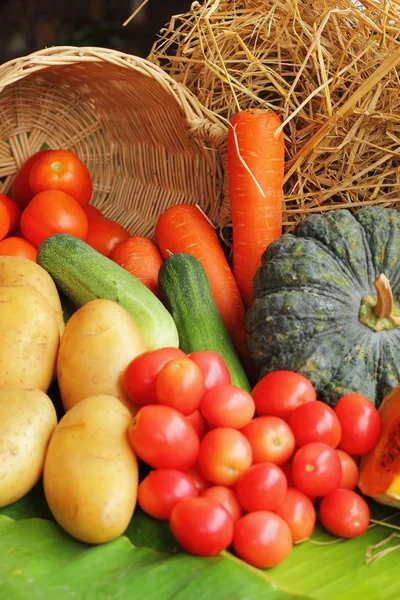 Produtos hortícolas frescos — Fotografia de Stock