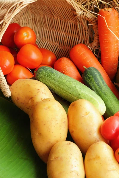 Fresh vegetables — Stock Photo, Image