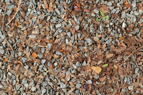 Ground stone. — Stock Photo, Image