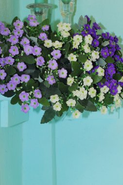plastik çiçekler.