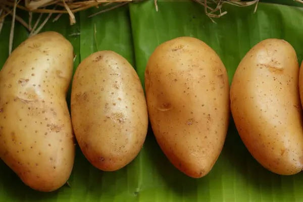 Frisches Gemüse - Kartoffeln. — Stockfoto