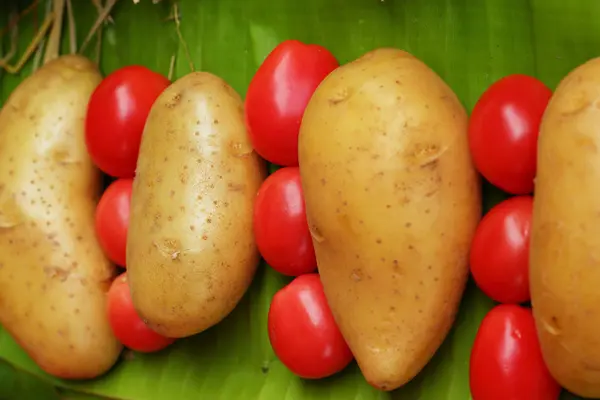 Čerstvá zelenina - brambory, rajčata. — Stock fotografie