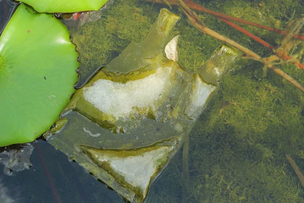 Lotus leaf - a garbage bag. — Stock Photo, Image