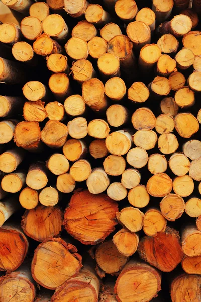 A pile of wood. — Stock Photo, Image