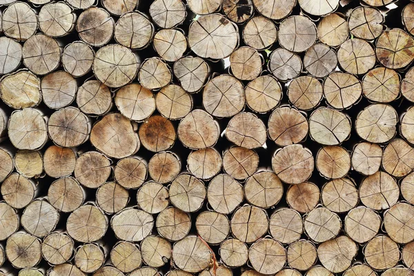 A pile of wood. — Stock Photo, Image