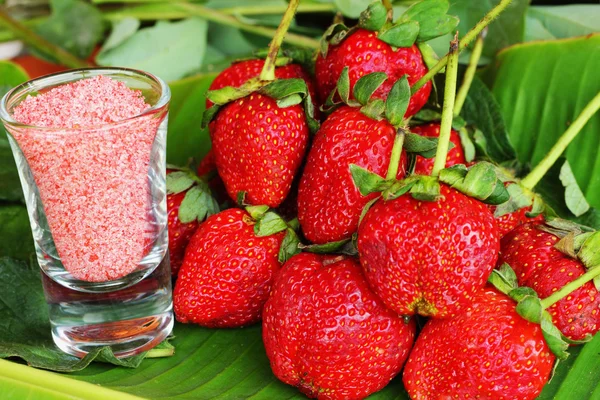 Erdbeer-Früchte-Beeren - Salz und Pflaumen-Sauce — Stok fotoğraf