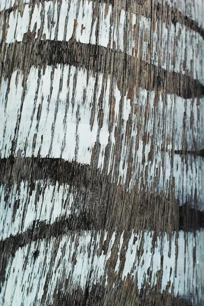 木製の床のパターン. — ストック写真