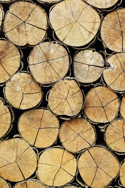 A pile of wood. — Stock Photo, Image