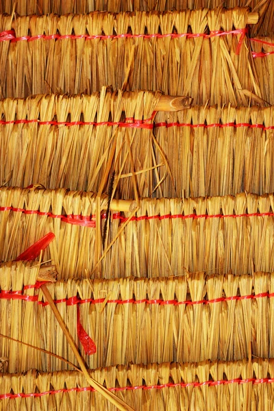 Thatched çatı. — Stok fotoğraf