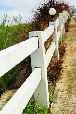 karayolu ile beyaz çit