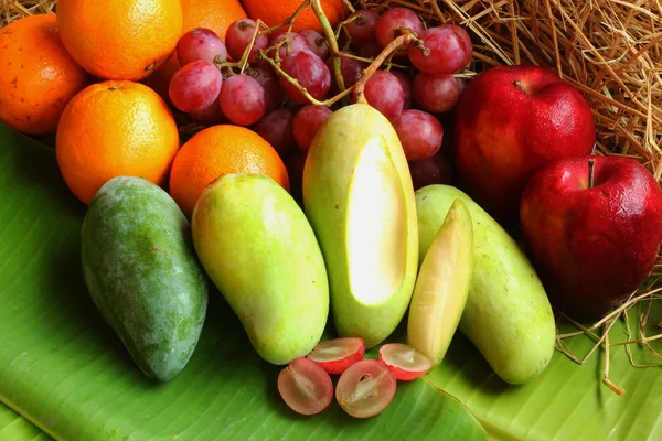 Fresh various fruits — Stock Photo, Image