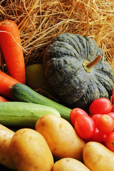 Fresh vegetable. — Stock Photo, Image