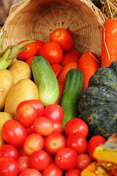 Fresh vegetable. — Stock Photo, Image