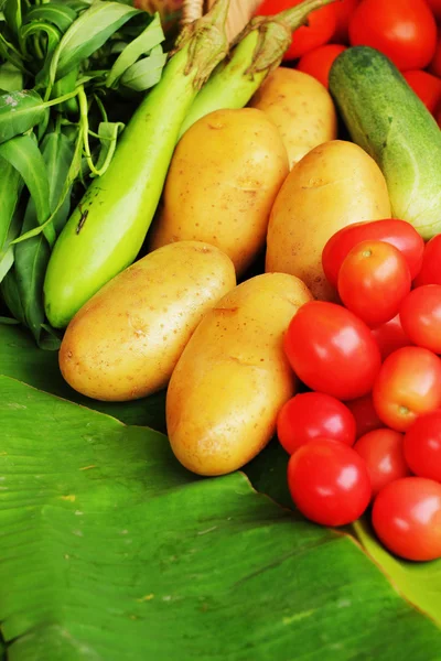 Frisches Gemüse. — Stockfoto