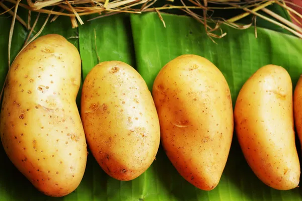 Légumes frais Pommes de terre — Photo