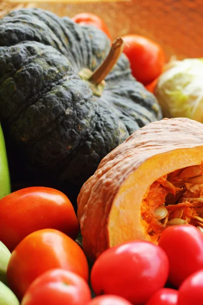 Fresh vegetables - pumpkin - tomatoes. — Stock Photo, Image