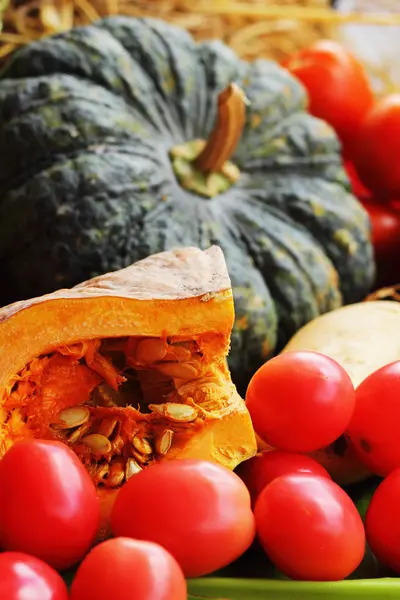 Frisches Gemüse - Kürbis - Tomaten. — Stockfoto