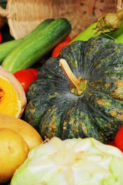 Fresh vegetables — Stock Photo, Image