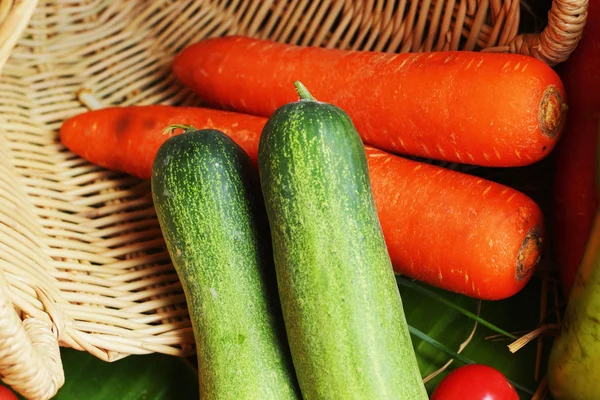 Fresh vegetables - cucumber - carrots.