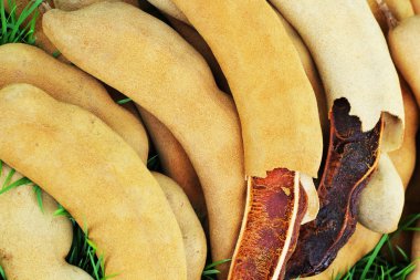 Olgun demirhindi meyve çimenlerin üzerinde.