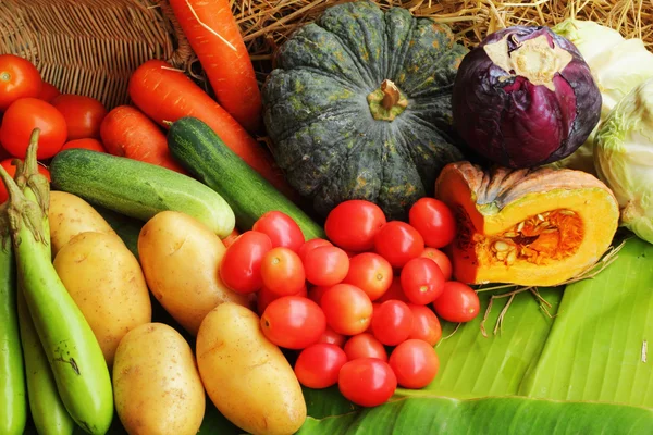 Fresh vegetable. — Stock Photo, Image