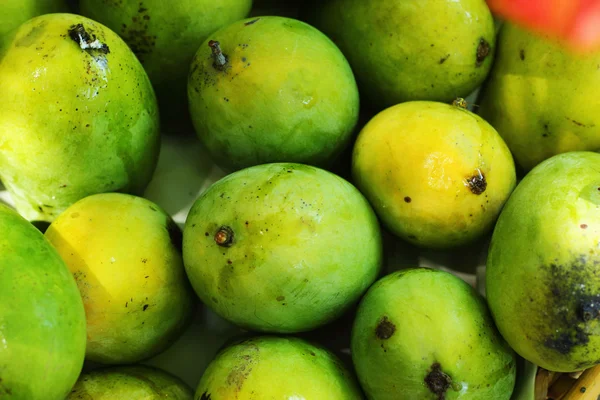 Fruta de mango . — Foto de Stock