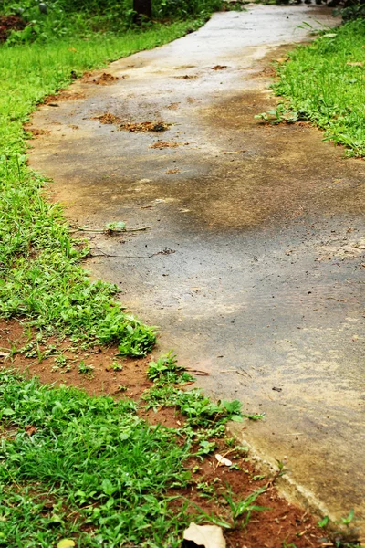 Pavimento com grama verde . — Fotografia de Stock