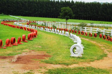 Yeşil çimenlerin üzerinde yedek lastik.