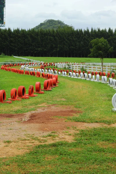 Spare tire on a green grass. — Stock Photo, Image