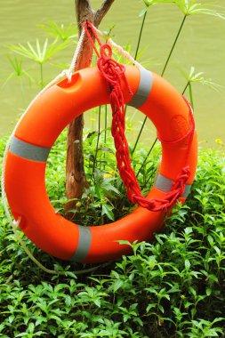 Yüzük şamandıra.