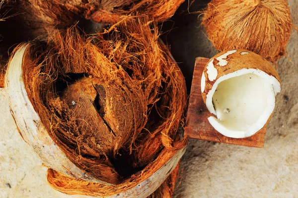 화이트 코코넛과 갈색 spathe. — 스톡 사진