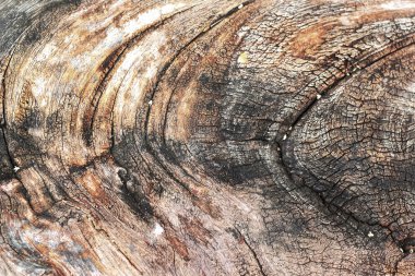 eski ahşap arka plan