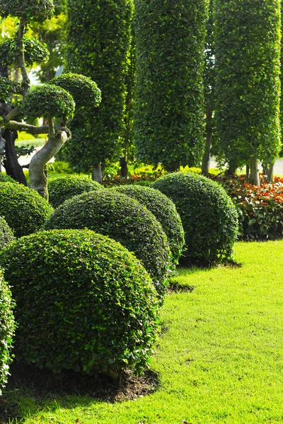 Jardín Inglés — Foto de Stock