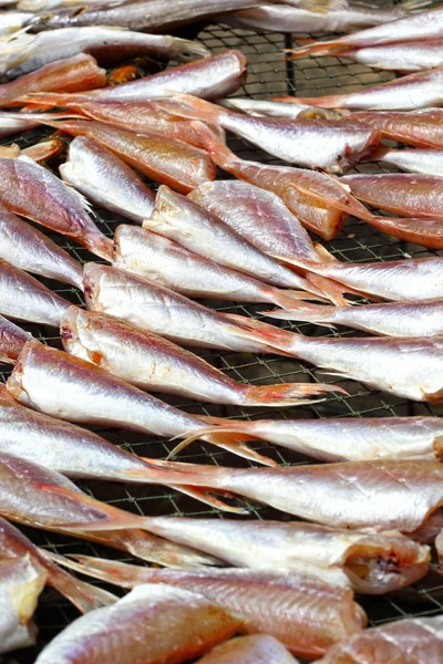 Torkad fisk på marknaden. — Stockfoto