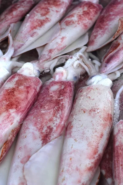 Fresh squid in the market. — Stock Photo, Image