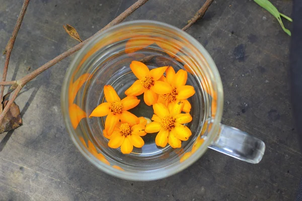 Flores amarelas em um copo — Fotografia de Stock