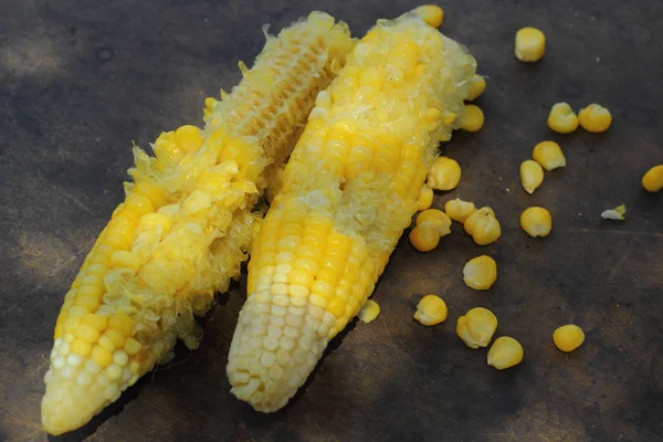 Sweet corn. — Stock Photo, Image