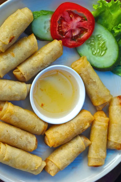 Alimentos fritos rollos de primavera con salsa de inmersión . — Foto de Stock