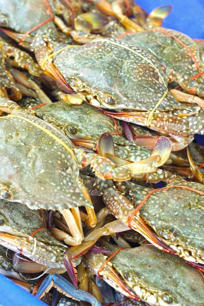 Fresh crab on the market. — Stock Photo, Image