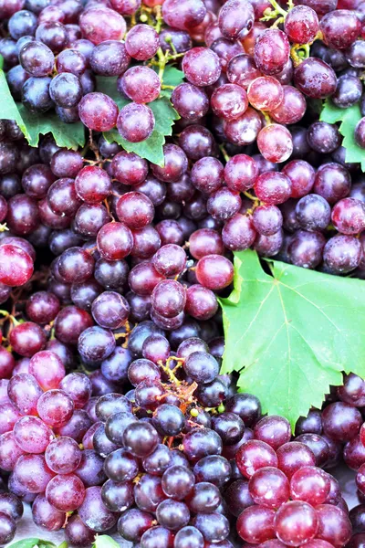 水果葡萄在自然与绿色叶-背景. — 图库照片